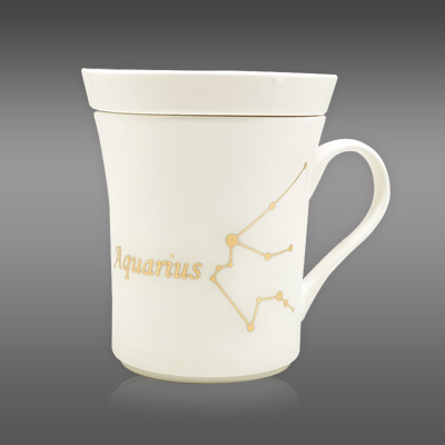 HMAQU001 - Aquarius Birthday Horoscope Mug